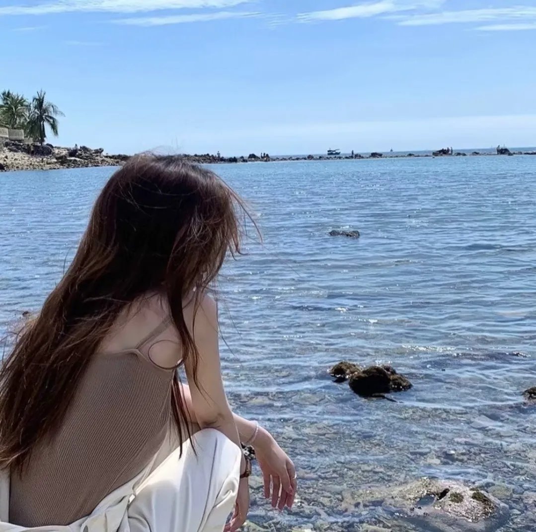 超级救援狗